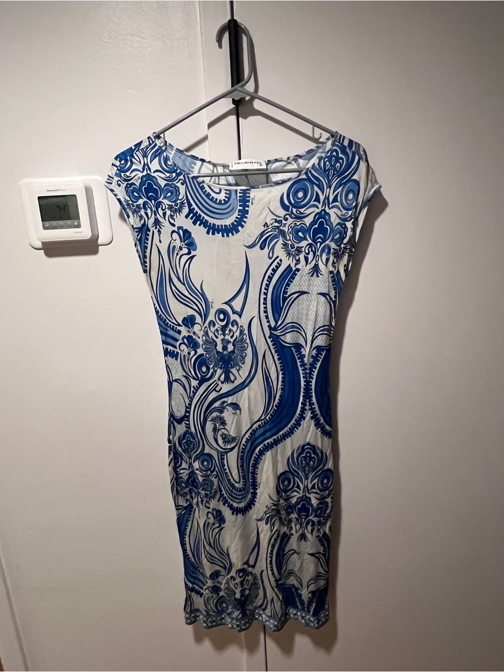 Vintage Pucci in Blue Paisley